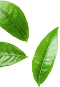 leafs