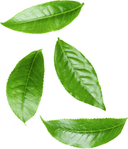 nim leaves